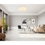 Plafonieră metal alb mat, opal acrilic, dimmabilă, mai multe niveluri prin comutator de perete, funcție de memorie, lumină de noapte, temporizator, telecomandă, ø: 500mm, H:75mm, incl. LED 58W 230V, sursă 720-7250lm, ieșire 320-3190lm, CCT 2700-6000K - imagine 2