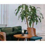 Lampă de masă metal negru mat, sticlă fumurie, cablu textil negru, touch on/off, ø: 90mm, H: 300mm, lungime cablu 1500mm, excl. 1x E27 25W 230V