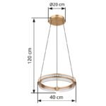 Lampa suspendata metal auriu, aluminiu. auriu, cristal K5 transparent, acrilic transparent, reglabil, mai multe niveluri prin comutator de perete, memorie, lumina de noapte, telecomanda, ø:400mm H:1200mm, LED 36W 230V, 240-2000lm, CCT2700-6000K - imagine 6
