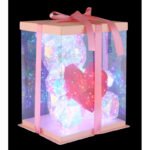 Lampă de masă din plastic cu efect de cristal transparent, cablu PVC alb, comutator basculant pe cablu, fără adaptor, cablu USB inclus, inclusiv adaptor 10W DC5V 2A, LxLxA: 260x205x320mm, lungime cablu 2000mm, inclusiv 200x LED 0.03W 5V, 8000K - imagine 4