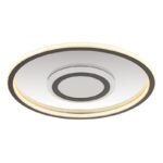 Plafonieră metal gri mat, oțel inoxidabil oglindit, aluminiu gri mat, plastic opal, acrilic oglindit efect 3D, mai multe niveluri prin comutator de perete, funcție de memorie, ø: 432mm, H: 50mm, incl. LED 40W 230V, sursă 4630lm, ieșire 2400lm, 3000K - imagine 5