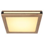 Plafonieră metal alb/negru mat, MDF lemn optic închis, plastic alb, memorie, 1 lumină principală,2 lumini laterale,3 ambele împreună, L x l x I: 300x300x75mm, LED 12W, 1200lm Sursă, 800lm Ieșire, LED 12W 230V, 1220lm Sursă, 630lm Ieșire, 3000K - imagine 4
