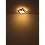 Plafonieră metal alb/negru mat, MDF lemn optic închis, plastic alb, memorie, 1 lumină principală,2 lumini laterale,3 ambele împreună, L x l x I: 300x300x75mm, LED 12W, 1200lm Sursă, 800lm Ieșire, LED 12W 230V, 1220lm Sursă, 630lm Ieșire, 3000K - imagine 6