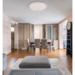 Plafoniera metal alb argintiu, acrilic alb transparent, compatibila cu Google Assistant si Alexa, reglabila, memorie, lumina de noapte, telecomandă, schimbător și fixare a culorii, ø530 V:83, LED 30W+LED RGB 5W 230V, 180-1800lm, CCT 3000-6500K - imagine 2