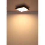 Plafonieră aluminiu argintiu, MDF gri închis, plastic opal, LxWxH: 300x300x60mm, incl. LED 12W 230V, sursă 1250lm, ieșire 600lm, 3000K - imagine 5
