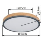 Plafoniera metal grafit, aspect lemn MDF închis, plastic alb, ø: 450mm, H: 85mm, inclusiv LED 24W 230V, sursă 3200lm, ieșire 1800lm, 3000K - imagine 6