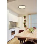 Plafonieră aluminiu gri periat, acrilic alb, silicon alb antic, dimabil, mai multe niveluri prin intermediul întrerupătorului de perete, telecomandă, ø:400mm H:55mm, LED 38W 230V, sursă 625-4750lm, 250-1955lm, ieșire 250-1955lm, CCT 2700-6000K - imagine 2