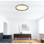 Plafonieră aluminiu gri periat, acrilic alb, silicon alb antic, dimabil, mai multe niveluri prin intermediul întrerupătorului de perete, telecomandă, ø:400mm H:55mm, LED 38W 230V, sursă 625-4750lm, 250-1955lm, ieșire 250-1955lm, CCT 2700-6000K - imagine 3
