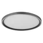 Plafonieră aluminiu gri periat, acrilic alb, silicon alb antic, dimabil, mai multe niveluri prin intermediul întrerupătorului de perete, telecomandă, ø:400mm H:55mm, LED 38W 230V, sursă 625-4750lm, 250-1955lm, ieșire 250-1955lm, CCT 2700-6000K - imagine 4