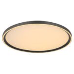 Plafonieră din aluminiu gri periat, acrilic alb, silicon alb antic, mai multe niveluri prin intermediul întrerupătorului de perete, telecomandă, ø: 500mm, H: 55mm, incl. LED 48W 230V, 750-5880lm sursă, 280-2530lm ieșire, CCT 2700-6000K - imagine 5