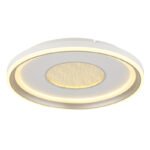 Plafonieră metal alb mat, plastic șampanie mat, acril opal, dimmabilă, mai multe niveluri prin comutator de perete, funcție de memorie, lumină de noapte, telecomandă, ø 480mm, incl. LED 48W 230V, sursă 600-6000lm, ieșire 260-2640lm, CCT 2700-6000K - imagine 5