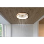 Ventilator de tavan metal alb, lemn, plastic cu/transparent, reglabil, mai multe niveluri prin comutator de perete, memorie, temporizator, telecomandă, 15m², ø:500mm H: 25mm, LED 30W 230V, 300-2250lm, CCT 2700-6500K - imagine 2