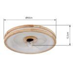 Ventilator de tavan metal alb, lemn, plastic cu/transparent, reglabil, mai multe niveluri prin comutator de perete, memorie, temporizator, telecomandă, 15m², ø:500mm H: 25mm, LED 30W 230V, 300-2250lm, CCT 2700-6500K - imagine 6