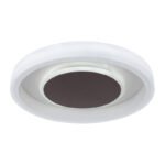Plafoniera metal alb, acril alb , metal maro, funcție de memorie, lumina de noapte, dimabil, control la distanță culori fixabile, D: 500, H: 95, inkl.LED 40W 230V, 350-2200lm ieșire , CCT 3000-6000K - imagine 5