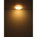 Plafonieră metal alb, plastic opal, display 16 piese, ø: 180mm, H: 65mm, incl. LED 9W 230V, sursă 960lm, ieșire 570lm, 3000K - imagine 4