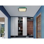 Plafonieră metal negru mat, alb acrilic, reglabil, mai multe niveluri prin comutator de perete, efect curcubeu RGB, funcție de memorie, telecomandă, L x l x I: 355x355x70mm, LED 40W+RGB 5W 230V, sursă 425-4250lm, ieșire 200-2000lm, CCT 2700-6500K - imagine 2