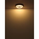 Plafonieră metal antracit periat, metal gri periat, acrilic opal, ø: 480mm, H: 52mm, incl. LED 40W 230V, sursă 3700lm, ieșire 1100lm, 3000K - imagine 5