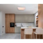 Plafoniera metal alb,acril alb, inel cromat, decor sparkle, lumină de noapte, Google Assistant+Alexa, control vocal si APP, dimabil, telecomandă, culori fixabile, LxWxH: 495x495x80, LED 48W 230V, ieșire 300-3300lm, CCT 3000-6400K - imagine 2