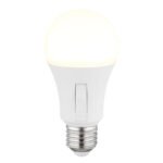 Bec LED plastic opal, plastic alb mat, aluminiu nichel mat, comutator glisant, comutator pas cu pas, ø: 60mm, H: 120mm, incl. 1x E27 LED 9W 230V, 830lm sursă, 830lm ieșire, CCT 3000/4000/6500K