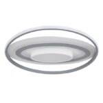 Plafoniera aluminiu ,alb, plastic alb, gri, funcție cu memorie, lumină de veghe, dimabil, telecomandă, culorile pot fi fixate, D: 570, H: 70, inclusiv 1xLED 60W 230V, sursă 4200lm, ieșire 2650lm, CCT 3.000-6.00 - imagine 2