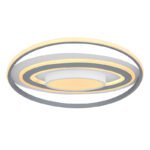 Plafoniera aluminiu ,alb, plastic alb, gri, funcție cu memorie, lumină de veghe, dimabil, telecomandă, culorile pot fi fixate, D: 570, H: 70, inclusiv 1xLED 60W 230V, sursă 4200lm, ieșire 2650lm, CCT 3.000-6.00 - imagine 4