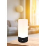 Lampă de masă metal negru mat, plastic opal, cablu PVC negru, touch on/off, touch dimmer, schimbător de culori RGB, excl. adaptor, USB-C - USB-C, IP44, ø: 88mm, H: 190mm, cablu 1000mm, incl. RGBW LED 1.8W 230V, sursă 160lm, ieșire 100lm, 2900K - imagine 2