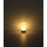 Lampă de masă metal negru mat, plastic opal, cablu PVC negru, touch on/off, touch dimmer, schimbător de culori RGB, excl. adaptor, USB-C - USB-C, IP44, ø: 88mm, H: 190mm, cablu 1000mm, incl. RGBW LED 1.8W 230V, sursă 160lm, ieșire 100lm, 2900K - imagine 5