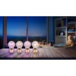 Lampă de masă metal auriu, plastic negru mat, sticlă transparentă, comutator cu buton, fără adaptor, USB-C/USB-C, LED interior cu motive: 3 x inimă, fluture, lună, stea fiecare, ø: 70mm, H: 120mm, incl. LED 2.5W 230V, sursă 20lm, ieșire 8lm, 3000K