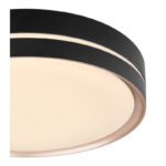 Plafoniera metal negru/bronz, dispersor plastic alb-alb, memorie, lumina de veghe, dimabila, telecomanda, culori lumina reglabile, D:385, H:80, inkl. 1xLED 24W 230V, 2580lm Source, 1100lm iesire, CCT 2.700-6.500K - imagine 5