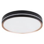plafoniera metal negru/bronz, dispersor plastic alb-alb, memorie, lumina de veghe, dimabila, telecomanda, culori lumina reglabile, D:485, H:80, inkl. 1xLED 40W 230V, 4000lm Source, 1850lm iesire, CCT 2.700-6.500 - imagine 3