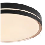 plafoniera metal negru/bronz, dispersor plastic alb-alb, memorie, lumina de veghe, dimabila, telecomanda, culori lumina reglabile, D:485, H:80, inkl. 1xLED 40W 230V, 4000lm Source, 1850lm iesire, CCT 2.700-6.500 - imagine 5