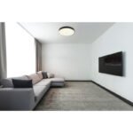 Plafonieră Matthew, Negru mat, LED 36W 3000/4000/6500K, Ø400mm, Globo