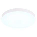 Plafonieră din plastic alb mat, plastic opal, comutator glisantă, comutator pas cu pas, culorile pot fi fixate, ø: 400mm, H: 45mm, incl. LED 36W 230V, sursă 4700lm, ieșire 3400lm, CCT 3000/4000/6500K - imagine 5