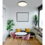 Plafonieră din plastic negru mat, plastic alb mat, plastic opal, comutator glisantă, comutator pas cu pas, culorile pot fi fixate, ø: 500mm, H: 45mm, incl. LED 50W 230V, sursă 6000lm, ieșire 4500lm, CCT 3000/4000/6500K - imagine 2