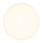 Plafoniera plastic negru mat, plastic opal, ø: 220mm, H: 50mm, incl. LED 12W 230V, sursa 1430lm, iesire 800lm, 4000K - imagine 4