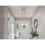 Plafonieră metal șampanie mat, aluminiu șampanie mat, silicon opal, mai multe niveluri prin comutator de perete, culorile pot fi fixate, funcție de memorie, ø: 260mm, H: 100mm, incl. LED 24W 230V, sursă 3000lm, ieșire 1512lm, CCT 2700/4000/6000K