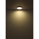 Plafonieră plastic alb mat, plastic opal, de asemenea, strălucește în sus "lumina de fundal", ø: 300mm, H: 35mm, incl. LED 20W 230V, sursă 2400lm, ieșire 1000lm, 4000K - imagine 5