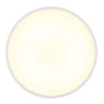 Plafonieră din plastic alb mat, plastic opal, luminează și în sus "lumina de fundal", ø: 400mm, H: 40mm, incl. LED 32W 230V, sursă 3250lm, ieșire 1300lm, 4000K - imagine 4