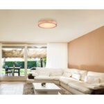 Plafoniera metal alb, lemn natural, plastic mat, funcție  memorie, reglabilă, telecomandă, culori fixabile, D: 400, H: 105, incl. 1xLED 24W 230V, ieșire 120-1800lm, sursă 240-3200, CCT 2700-6500 - imagine 2