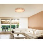 Plafoniera metal alb, lemn natural, plastic mat, funcție  memorie, reglabilă, telecomandă, culori fixabile, D: 600, H: 105, incl. 1xLED 48W 230V, ieșire 240-3500 lm, sursă 400-5300 lm, CCT 2700 - 6500 K - imagine 2