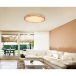 Plafoniera metal alb, lemn natural, plastic mat, funcție  memorie, reglabilă, telecomandă, culori fixabile, D: 800, H: 105, incl. 1xLED 60W 230V, eșire 300 - 2600 lm, sursă 550 - 7000 lm, CCT 3.000-6.000K - imagine 2