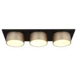 Plafonieră metal negru mat, plastic antracit, plastic șampanie mat, plastic opal, LxLxH: 580x200x110mm, incl. LED 24W 230V, sursă 3000lm, ieșire 1000lm, 3000K - imagine 4