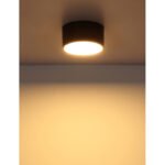 Plafonieră metal alb mat, plastic negru mat, plastic opal, ø: 150mm, H: 75mm, incl. LED 12W 230V, sursă 1200lm, ieșire 900lm, 3000K - imagine 5