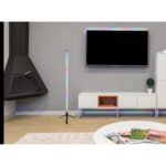 Lampă de podea plastic negru mat, plastic opal, cablu PVC negru, dimmabilă, schimbător de culori RGB, efect curcubeu RGB, aplicație, excl. adaptor, USB-A 2.0 - USB-C, telecomandă, bat. inclusă 1x CR2032, H: 1130mm, cablu 1500mm, incl. LED RGB 7W 5V