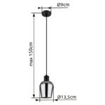 Lampă suspendată metal negru mat, sticlă de culoare fumurie, cablu PVC negru, înălțimea poate fi scurtată, ø: 135mm, H: 1500mm, excl. 1x E27 40W 230V - imagine 5