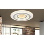 Plafoniera metal alb, acril antracit, lumină de noapte, funcție memorie, dimabil, telecomandă, culori fixabile, D: 500, H: 70, incl.1xLED 46W 230V, sursă 4380lm, ieșire 3200lm, CCT 3.000-6.000 - imagine 2