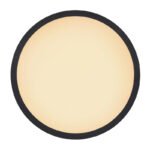Plafoniera, plastic negru, plastic satinat, plastic alb, iluminare din spate, 3 niveluri de iluminare folosind un comutator de perete (100-50-10%), functie de memorie, IP44, Ø290,V: 25, inclusiv 1xLED 18W 230V, 2100lm sursa,iesire 1600lm,3000K - imagine 4