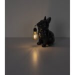 Lampă solară din plastic negru mat, plastic chihlimbar, comutator de presiune, IP44, LxlxÎ: 240x120x245mm, incl. LED 0.06W 3V, 3000K - imagine 5
