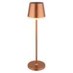Lumină solară metal/plastic șampanie/satinat, comutator glisant, IP44, poate fi utilizată cu 1 sau 2 tije, ø: 110mm, H: 410mm, 2 înălțimi: 41cm/26cm, 10x LED 0.06W 3V, 3000K