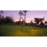 Lumină solară din plastic negru mat, plastic transparent, plastic alb, comutator de presiune, efect de foc, IP44, ø: 75mm, H: 645mm, 2 înălțimi, 64.5 cm sau 47 cm, incl. 12x LED 0.2W 3V, 1600K - imagine 2